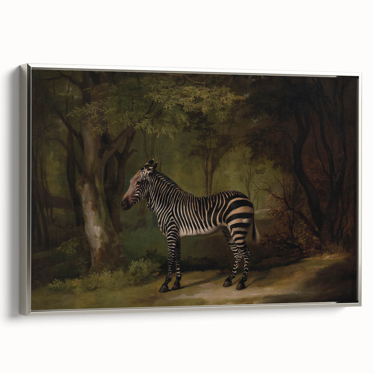 Realism Wildlife Art Print | Zebra in Forest by George Stubbs | Fine Decor