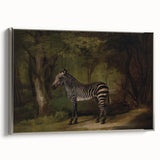 Realism Wildlife Art Print | Zebra in Forest by George Stubbs | Fine Decor