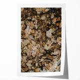 Extra large rolled print featuring a fall-inspired floral design in warm orange and red tones.