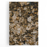 Large black and white stretched canvas of a tree in fall, suitable as kitchen wall art.