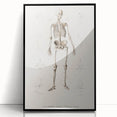 Romanticism Art: Human Skeleton Anatomical Illustration Canvas Print