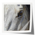 Large glossy print of a close-up floral image in vibrant pinks and greens, ideal for dining room or bathroom wall art.