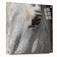 Close-up image of an animal in nature, printed on acrylic glass, using a mix of sharp and blurred elements.