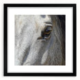 Extra large abstract art print featuring a textured, colorful depiction of nature and animals on a black framed canvas.