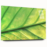 Close-up of a large abstract floral design in vibrant colors on acrylic glass, suitable for bedroom or dining room decor.