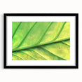 Extra large abstract art print featuring vibrant, colorful floral close-ups, textured on a black framed canvas.