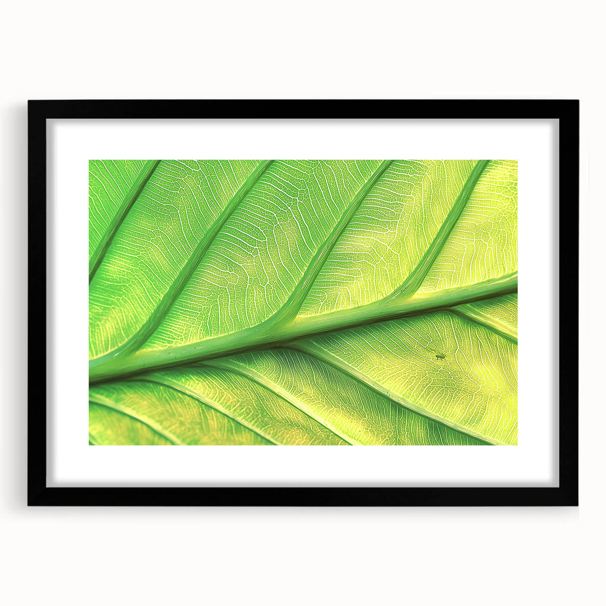 Extra large abstract art print featuring vibrant, colorful floral close-ups, textured on a black framed canvas.