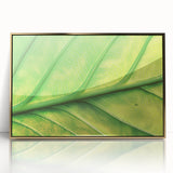 Large art print of close-up floral patterns in vibrant colors on a gold-framed acrylic, suitable for modern nursery decor.