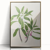 Realism Botanical Art Print | Ngaio Plant Illustration by Sarah Featon