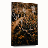 Large abstract wall art depicting autumn leaves in warm orange and red tones on acrylic glass.