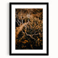 Extra large abstract art print featuring textured, colorful autumnal hues on a framed black canvas.