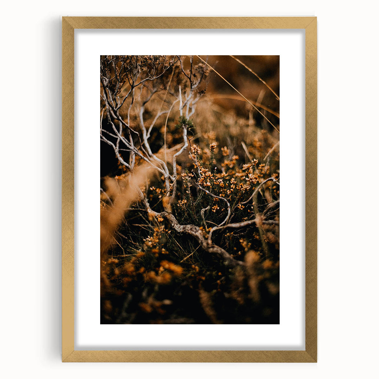 Extra large abstract art print featuring textured autumnal hues on a framed canvas, ideal for living room decor.