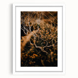 Abstract art print depicting swirling fall colors in orange and brown on a white framed canvas.