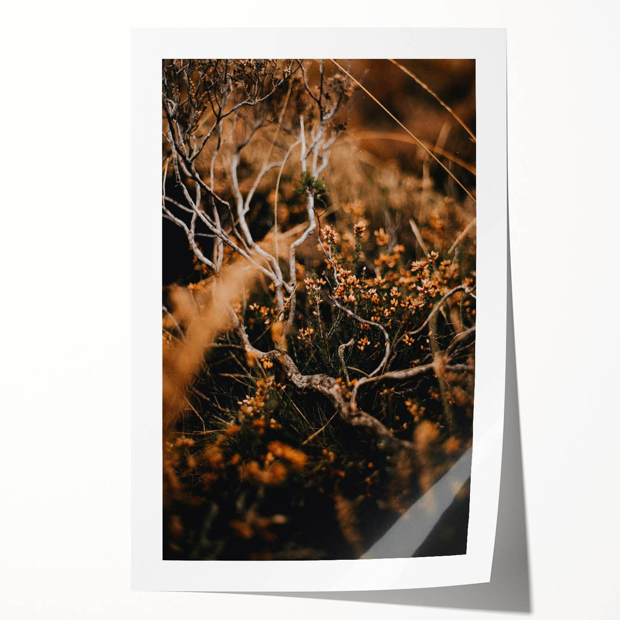 Extra large rolled print depicting vibrant autumn leaves, ideal for art wall dining room or bathroom decor.