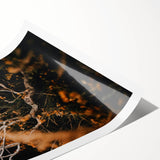 Extra large wall art featuring line art flowers in muted autumnal tones on a rolled canvas.
