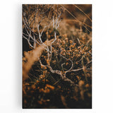 Black and white abstract depiction of autumn trees on large stretched canvas, suitable for kitchen art.