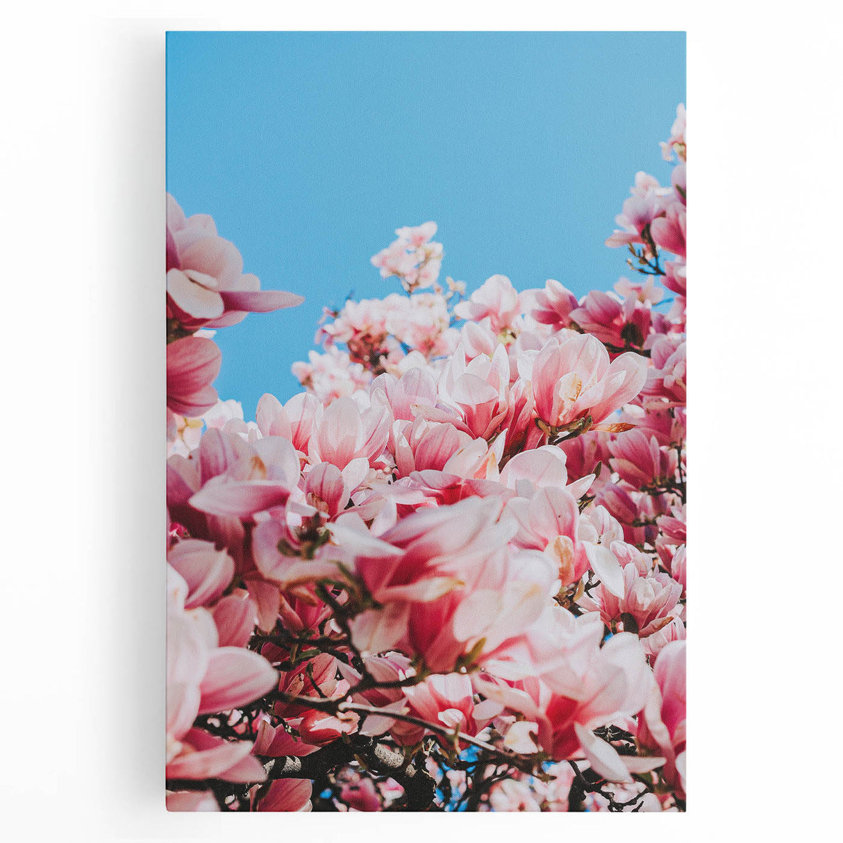 Large black and white abstract canvas depicting spring, ideal for kitchen wall art.
