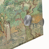 Impressionist Olive Grove Wall Art - The Olive Orchard by Van Gogh
