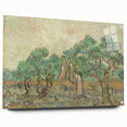 Impressionist Olive Grove Wall Art - The Olive Orchard by Van Gogh