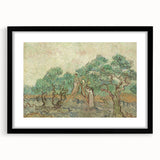 Impressionist Olive Grove Wall Art - The Olive Orchard by Van Gogh