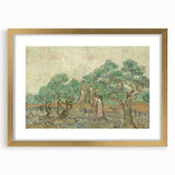 Impressionist Olive Grove Wall Art - The Olive Orchard by Van Gogh