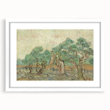 Impressionist Olive Grove Wall Art - The Olive Orchard by Van Gogh