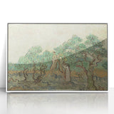 Impressionist Olive Grove Wall Art - The Olive Orchard by Van Gogh