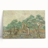 Impressionist Olive Grove Wall Art - The Olive Orchard by Van Gogh