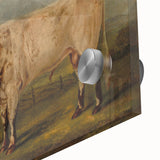 Classic Romantic Paintings: A Young Bull - Historic Pastoral Wall Art