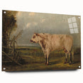 Classic Romantic Paintings: A Young Bull - Historic Pastoral Wall Art
