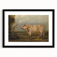Classic Romantic Paintings: A Young Bull - Historic Pastoral Wall Art