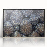 Mid-century modernist art featuring close-up nature elements in muted green tones, silver-framed acrylic.