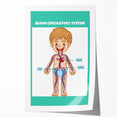 STEM Learning Wall Art - Blood Circulatory System Chart