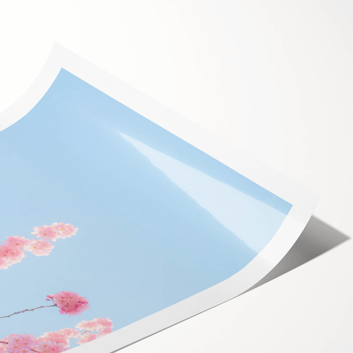 Extra large wall art featuring line art flowers in pastel shades on a rolled print, ideal for large living room decor.
