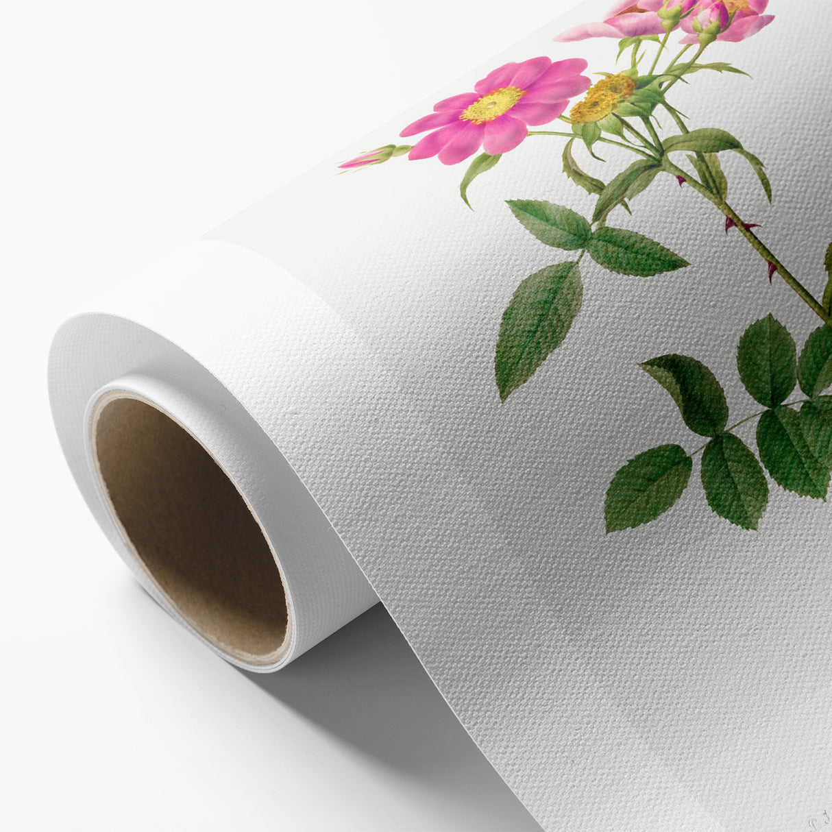 Neoclassical Art Prints: Rosa Collina Monsoniana by Pierre-Joseph Redouté