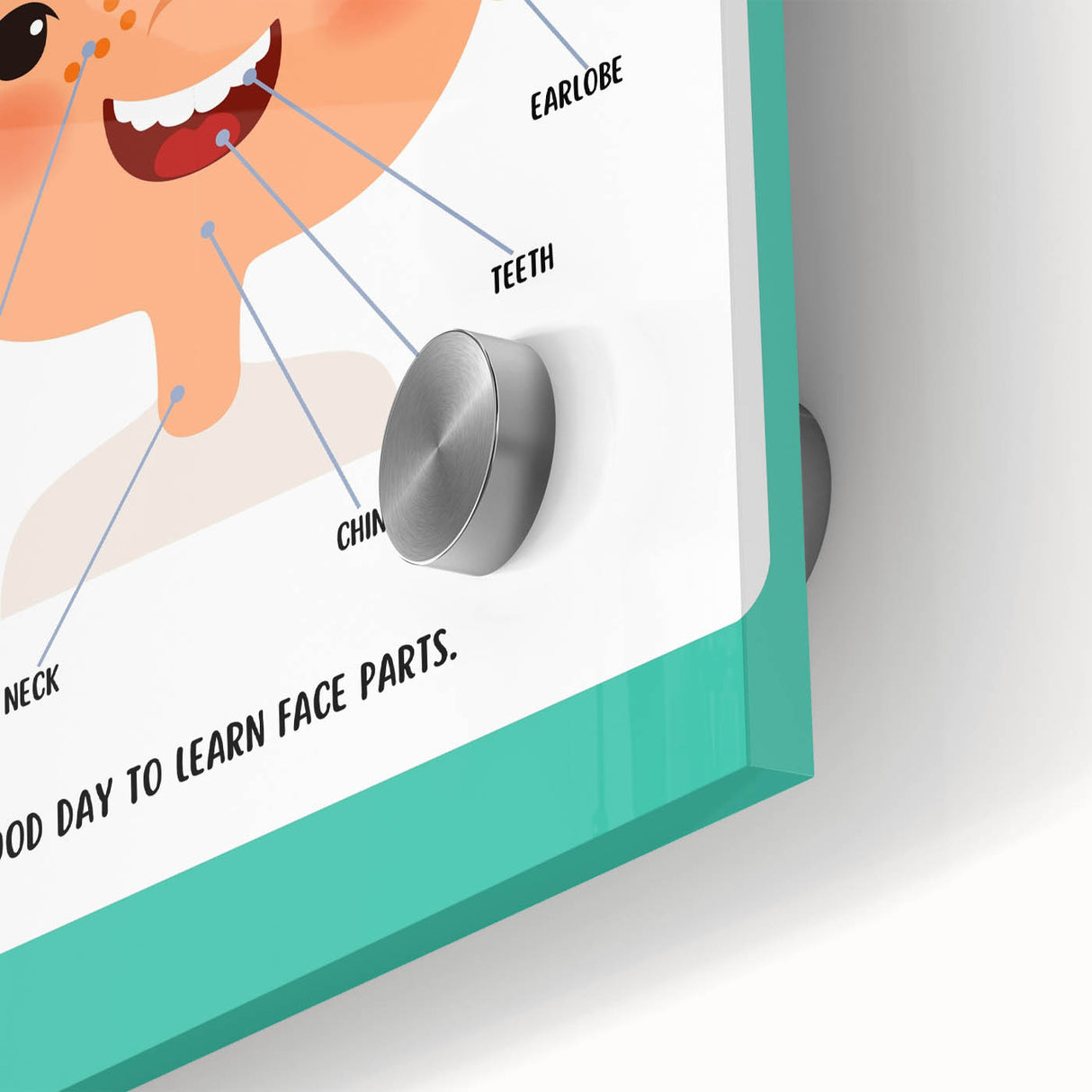 Kids Educational Wall Art - Face Parts Learning Poster