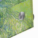 Impressionist Landscape - Vineyards at Auvers by Van Gogh Print