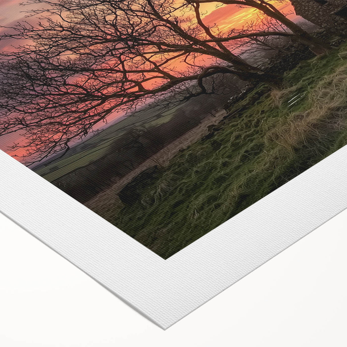 Rolled canvas showcasing a vibrant landscape barn design, featuring rich colors and detailed textures, securely packaged in a protective cardboard tube for easy transport.