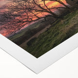 Rolled canvas showcasing a vibrant landscape barn design, featuring rich colors and detailed textures, securely packaged in a protective cardboard tube for easy transport.