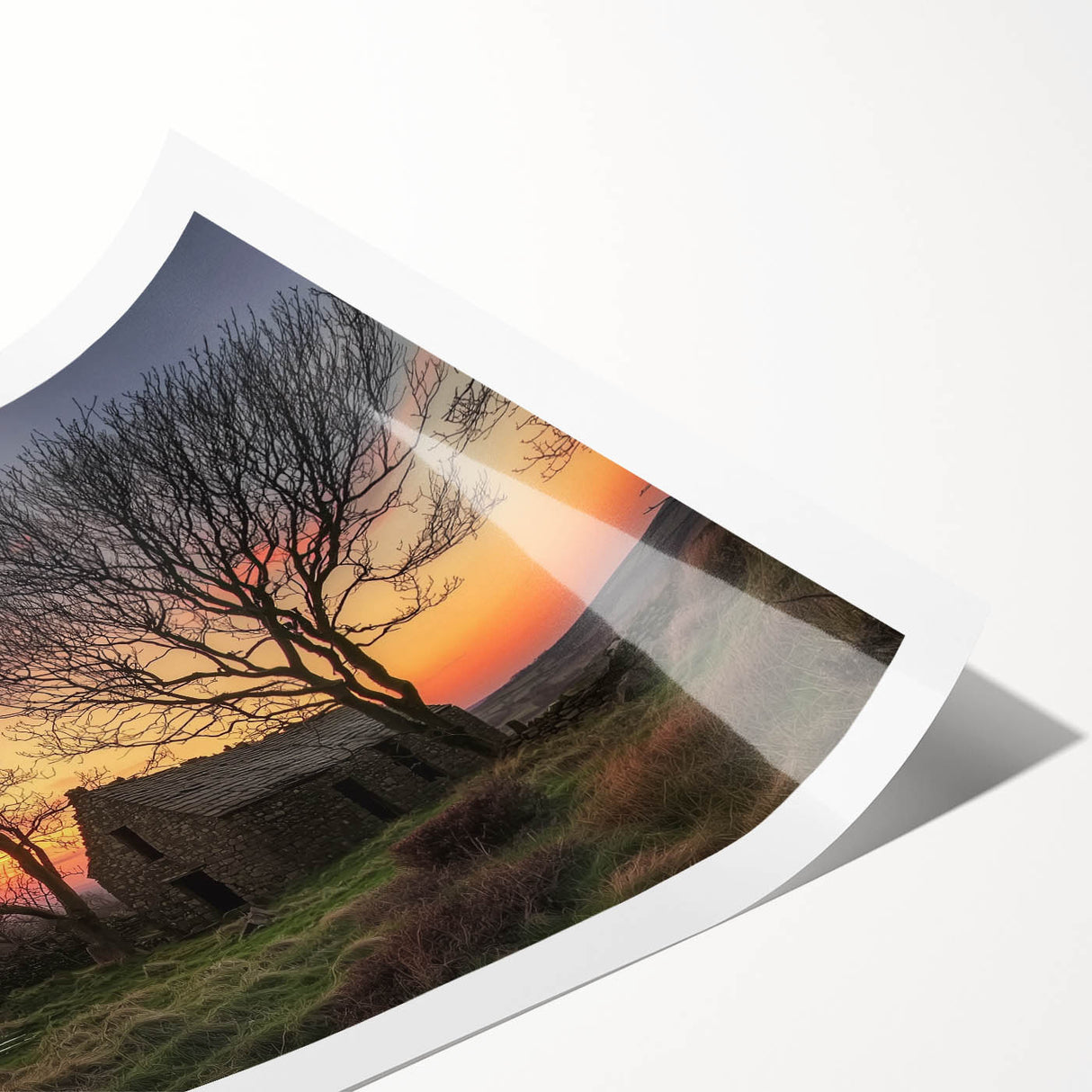 Landscape barn print on rolled canvas showcasing vibrant colors and intricate details, elegantly packaged in a sturdy cardboard tube for art lovers and home decor enthusiasts.