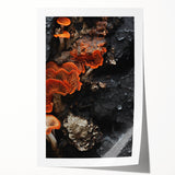 Extra large rolled print of close-up floral elements in natural tones, ideal for art wall dining room or bathroom decor.