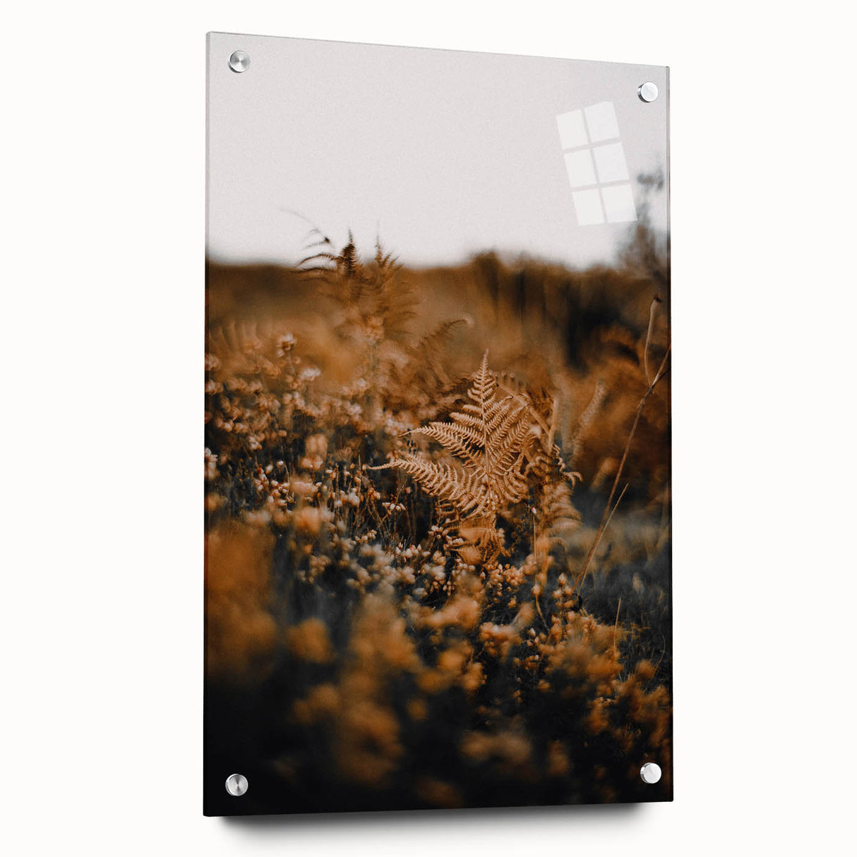 Large abstract wall art depicting autumn colors on acrylic glass, ideal for bedroom or dining room decor.