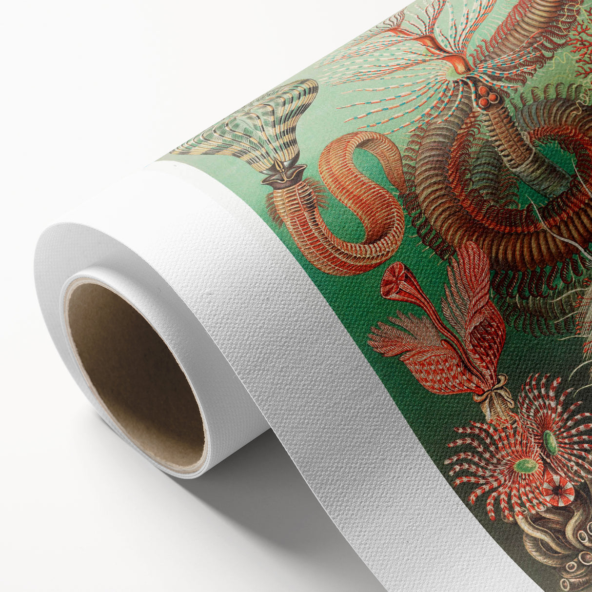 Modern Wall Art: Chaetopoda - Intricate Marine Life Illustration