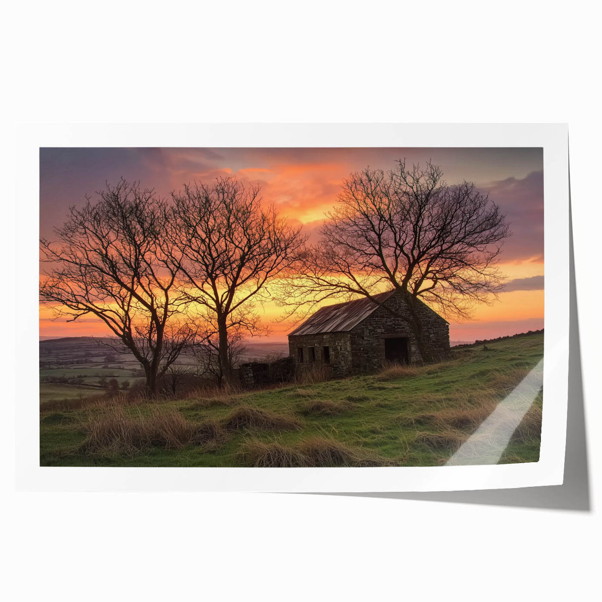 Landscape barn scene print showcasing a rustic red barn surrounded by lush green fields and a bright blue sky, rolled and ready for display in a cardboard tube.