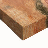 Impressionist Portrait - Renoir’s ‘Woman’s Head with Red Hat’ Art