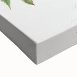 Romanticism Art: Brachetto Grape Botanical Illustration Canvas Print