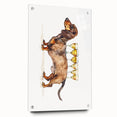 Large abstract wall art on acrylic glass featuring vibrant, colorful food and drink motifs, ideal for dining room decor.