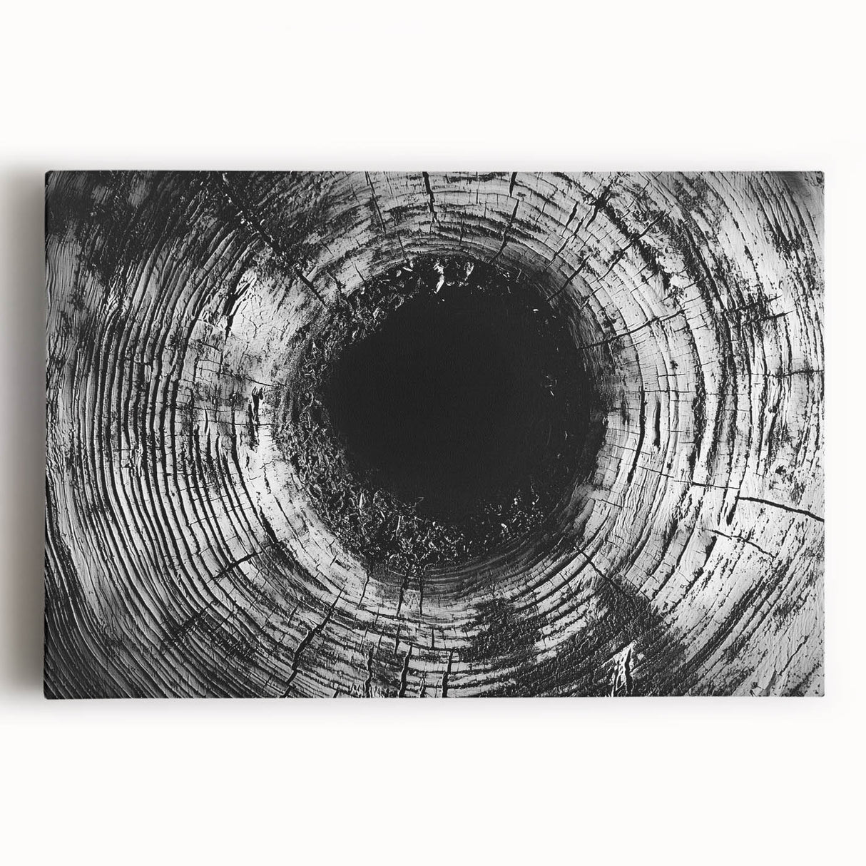 Black and white close-up photo of a leaf on stretched canvas, suitable for kitchen wall art.