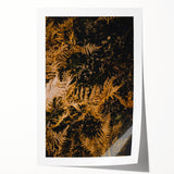 Extra large wall art featuring autumnal floral designs in warm orange and red tones on rolled canvas.