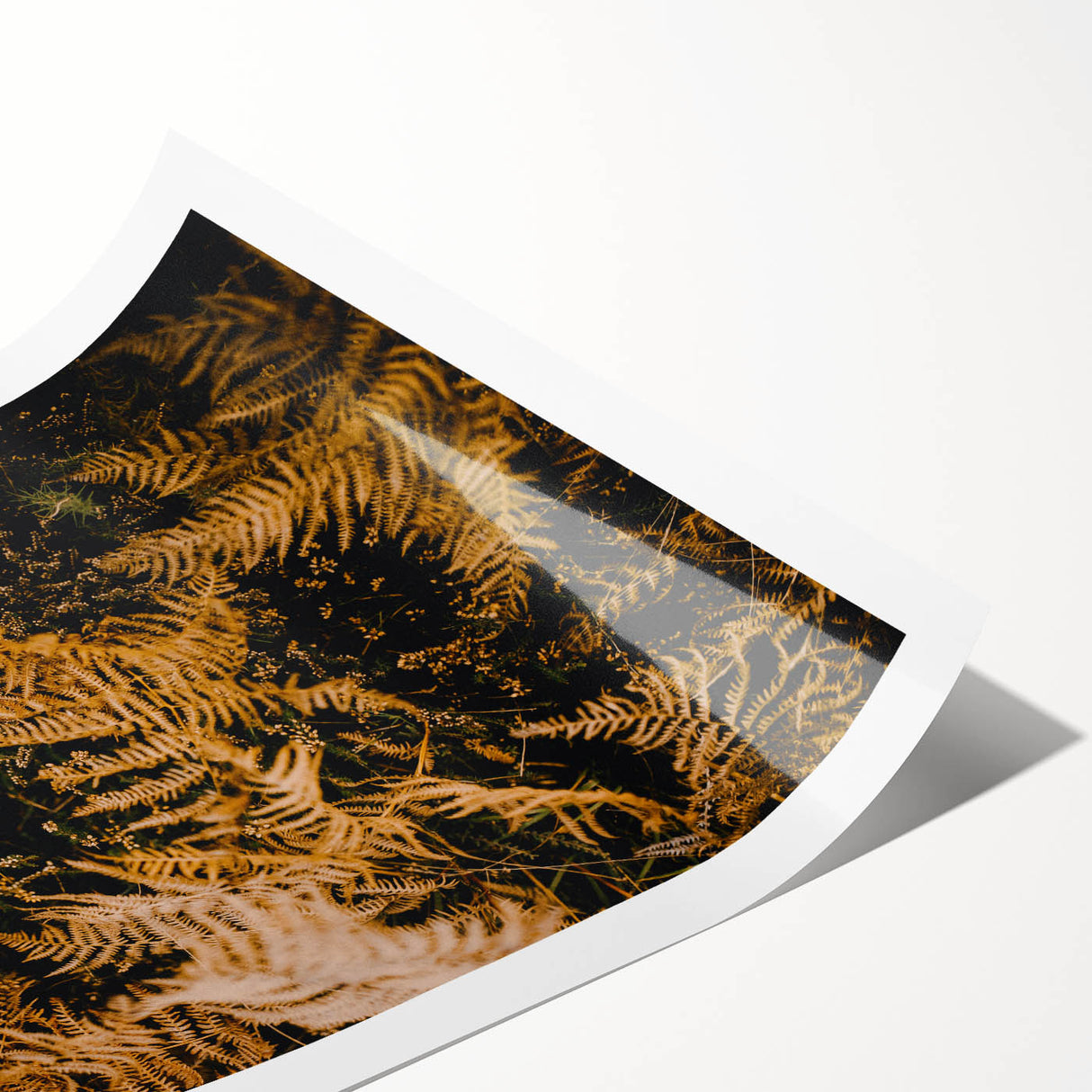 Extra large wall art featuring line art flowers in muted earth tones on a rolled print, suitable for large living room decor.